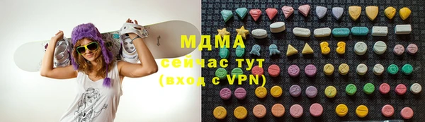 индика Верхний Тагил