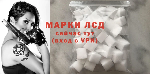 индика Верхний Тагил