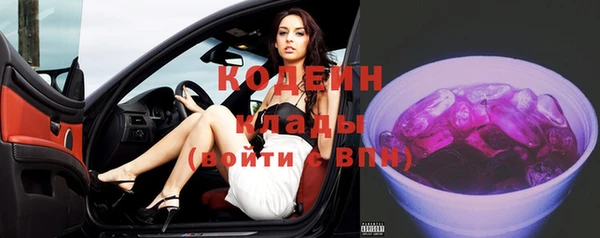 индика Верхний Тагил