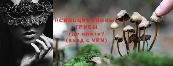 молекула духа Верея