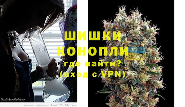 индика Верхний Тагил