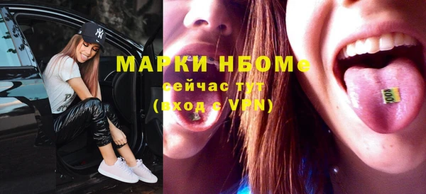 индика Верхний Тагил